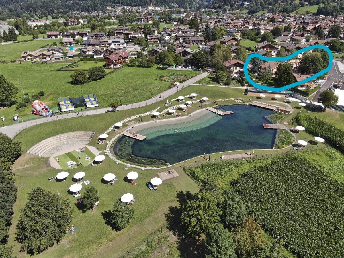 Chalet Mountain Plaza - Apt Greenvalley Pinzolo Exterior foto
